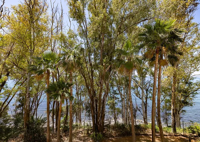 Apartment Alegro - Gerenoveerd Direct Aan Zee Estepona